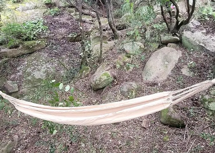 Liliekaena Albitreccia