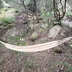 Liliekaena Albitreccia