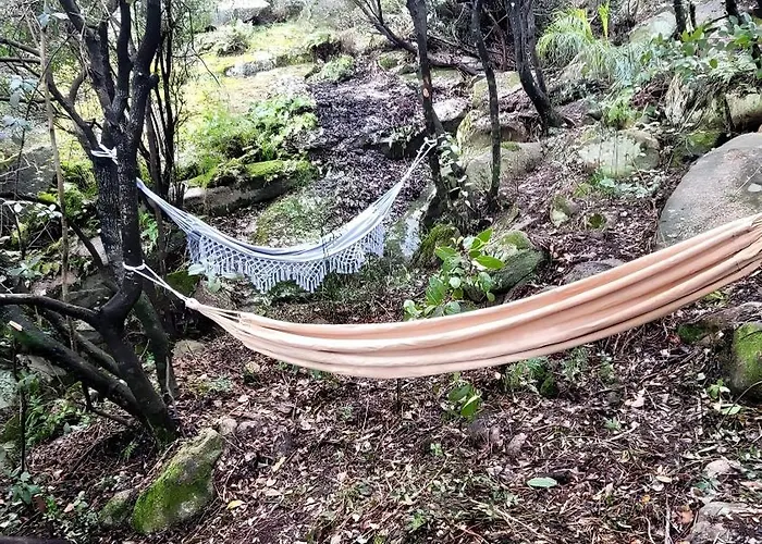 Liliekaena *
